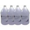 IDEALSEAL PB 608-0 E-Z Seal Sealing Solution, 64 oz, Clear,