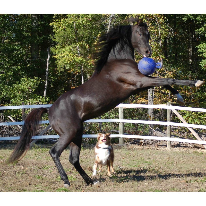 Jolly Pets Tug-n-Toss Boxes, Red, 8