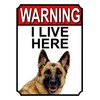 Shawprint WARNING I LIVE HERE METAL GATE SIGN GERMAN SHEPHERD