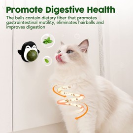 unnderwiss Cat Toy Catnip Ball Interactive Cat Toy 360° Rotation for Licking Cats with Storage Lid and 1 Interchangeable Catnip Ball Catnip Toy