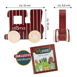 HEJ LØNNE Wooden Grasping Toy Baby - Motor Skills Toy - Baby Toy 6 Months - Children's Wooden Toy for Gripping, Pushing and Playing - Great Gift for Birth