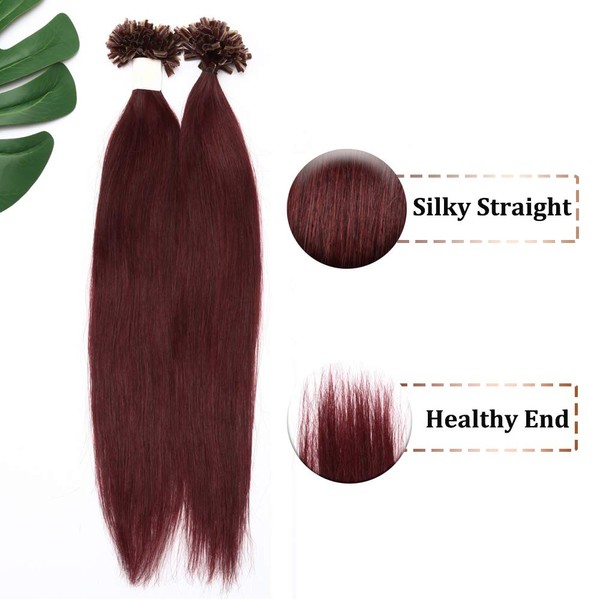 Burgundy U Tip Remy Human Hair Extension Wine Red 20 Inch Hairpiece Italian 100 Strands/50g Superior Salon Quality (20" #99J)