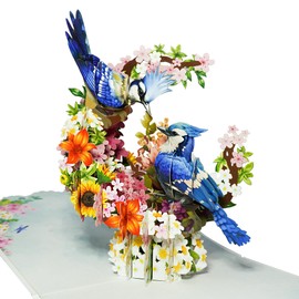 CUTE POPUP - Blue Jay Couple Pop Up Card, Anniversary Card, Valentine Card, Christmas Card, Thank You Cards, Thinking of You Card - Birthday Card for Girlfriend, Boyfriend on Every Occasion
