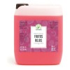 Tónico Facial De Frutos Rojos 10 Litros Normal A Grasa Día/noche