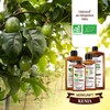 Avocado Oil Organic 250 ml - 100% Organic, Pure, Natural