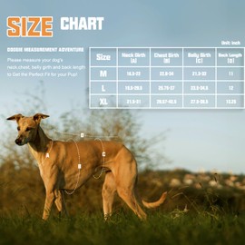 AUROTH Dog Harness, Escape Proof Dog Harness for Large Dogs, No Pull Dog Harness with Lift Handle, Soft Padded Reflective Adjustable Dog Vest Harness, Large Dog Harness for Walking Hiking Training