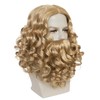 Old Mens Wig and Beard Set for Adult Wavy Men
