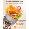 Smoothie Blender and Grinder Combo, 10-Piece Blenders Shakes