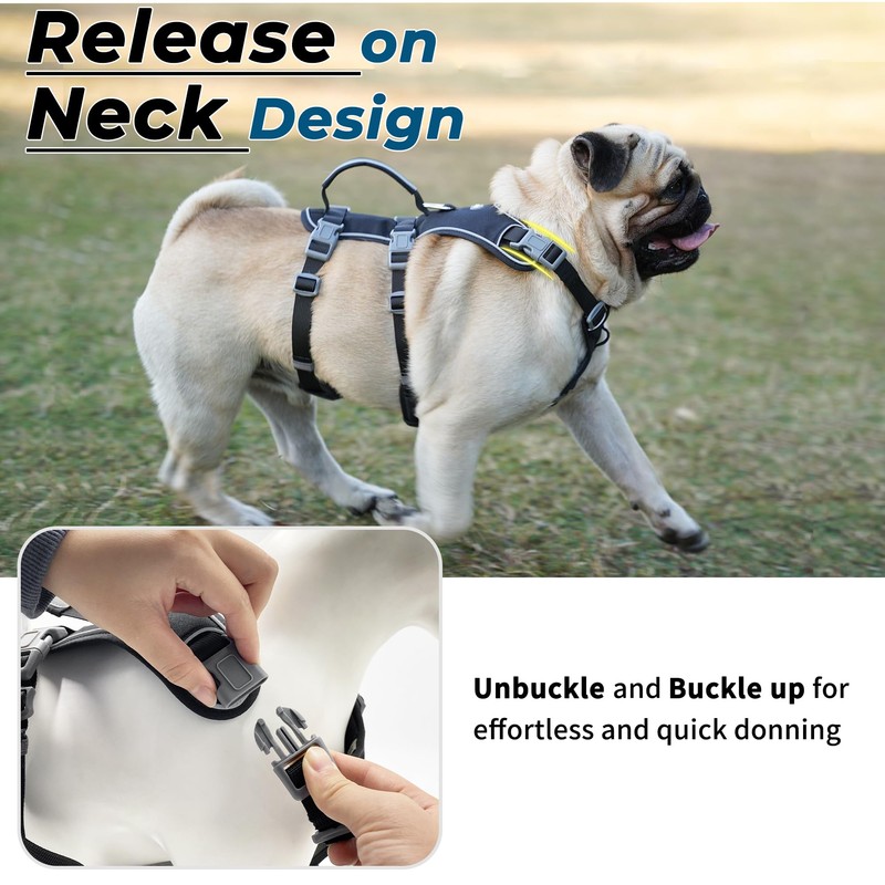 Escape Proof Dog Harness and Leash Set, Lightweight Dog Harness