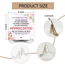 Appreciation Gifts for Women Desk Decor, Thank You Gifts for Coworker Teacher Nurse Bestie Friends, Inspirational Gifts You are Amazing Gifts Shelf Decor Wooden Plaque with Stand -10