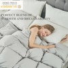 KUSNUG Goose Feather Down Comforter King Size, Grey All Season
