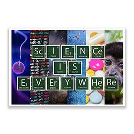Science Classroom Posters | Science Is Everywhere | Science Classroom Decorations | 12-Inch by 18-Inch | Science Supplies for Classrooms | for High School, Middle School, Elementary BMC1