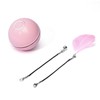 Rolling Pet Toy Ball - Color: pink