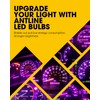 Antline T5 37 74 2721 PC74 PC37 LED Bulb Purple,