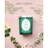 M&SENSE Misty Forest Eucalyptus Pine Scented Candles, Wooden Wick Natural