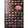 AZOO AZ90142 Flower Horn Décor Poster
