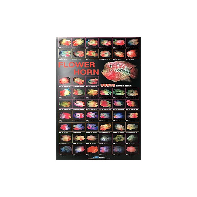 AZOO AZ90142 Flower Horn Décor Poster