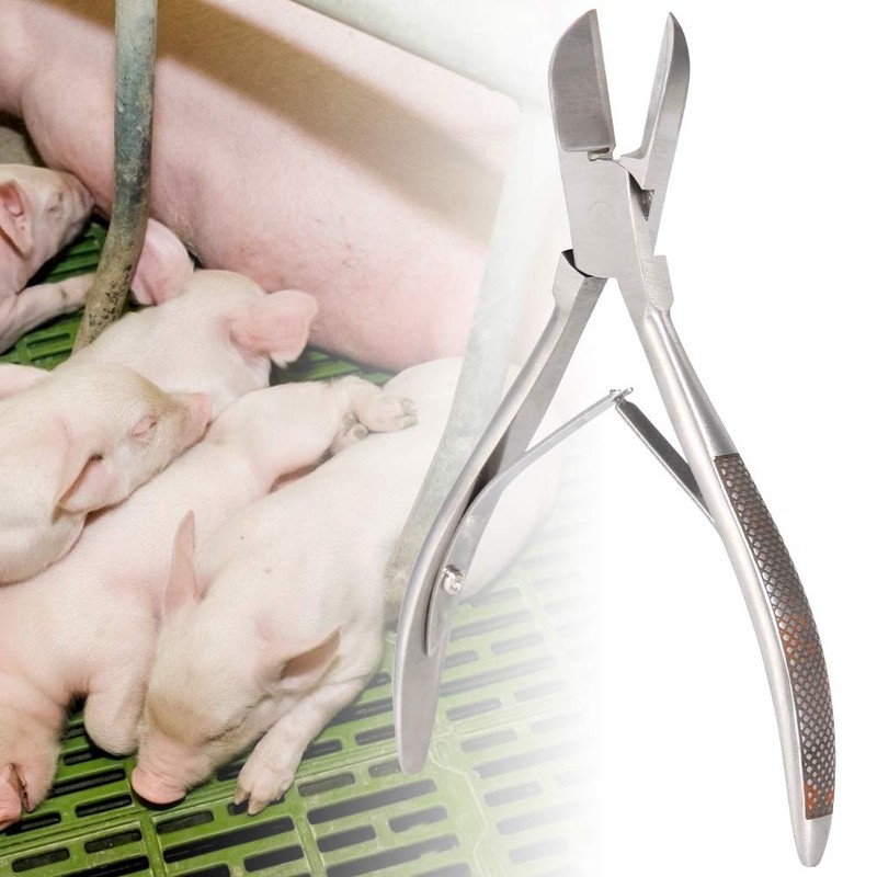 Stainless Steel Piglet Teeth Cutter Pig Tooth Nipper Teeth Cutter