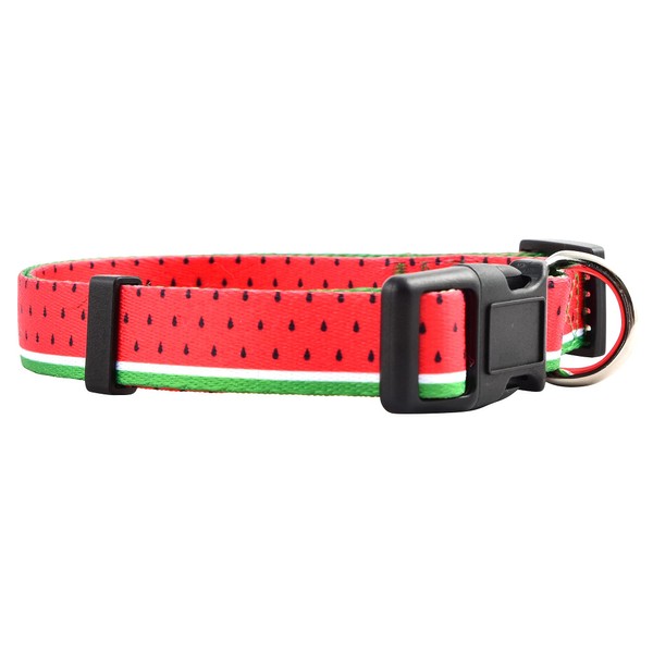 Native Pup Spring Dog Collars Cute Summer Designs for Girl