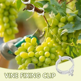 Clips de Soporte para Plantas, Soporte para Enredaderas (Blanco-100pc) Tallos de Tomate, Pepino, Pimientos, Rosas, Reutilizable, para Enrejado, Estacas y Jardín