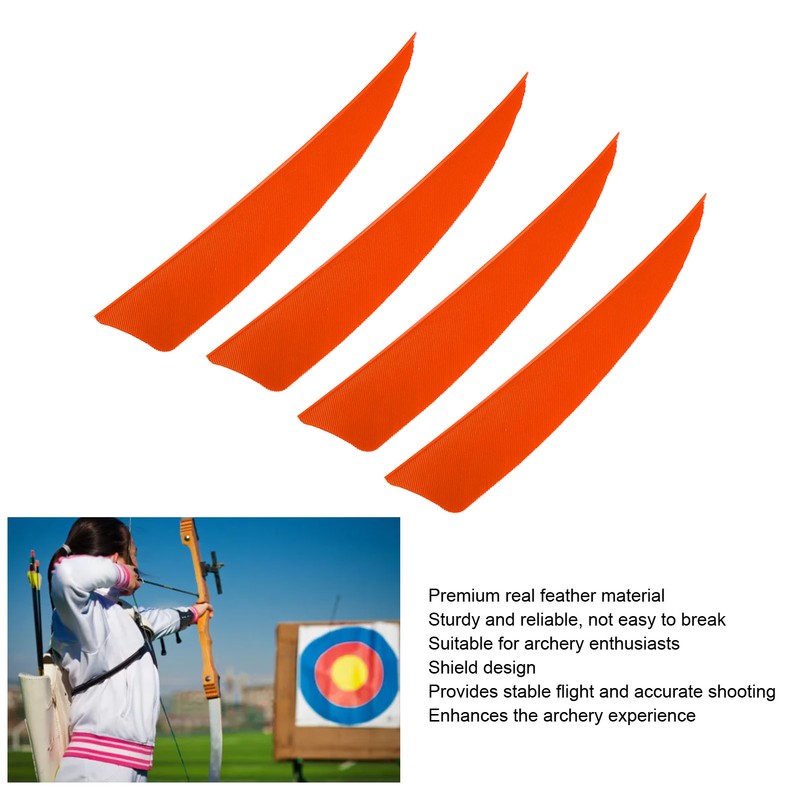 20pcs Feather Fletching High Speed Stable Flight Archery Arrows for