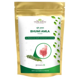 VEDIKROOTS Organic Bhumi Amla Powder - Rich in Antioxidant Vitamin C - Supports healthy immune function 100Gm (Pack of 1)