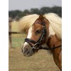 BUSSE Little Bridle