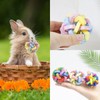 BingegePet Ferret Toys 6-Pack with Bells – Colorful Interlocking Ball