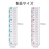 BOOHUQICH Ruler, 5.9 inches (15 cm), Plastic, Transparent Ruler, Plastic