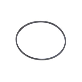 GM Genuine Parts 15521872 Front Differential Bearing Adjuster O-Ring Seal