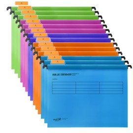 A4 Suspension File, MerryNine 15PCS Polypropylene Filing Cabinet Suspension File with Tab and Card Inserts for School Homework Office Organization (Mixed Color)