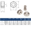 20 x Stainless Steel Hex Nuts M10 x 1, Fine
