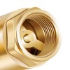 One Way Brass In-Line Check Valve, 3/4-Inch IPS, 3/4-Inch Female
