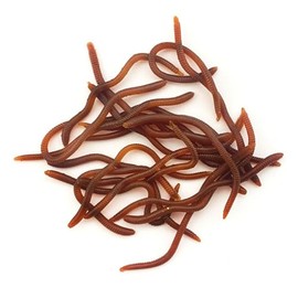 FOLANDO 20PCS Fishing Worms, 10CM Soft Fishing Lures earthworm Soft Plastic Baits Bass Fishing Lures for Fishing Trout Redfish