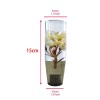 Unbranded Universal 15cm JDM Clear White Real Flowers Manual Gear