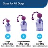 PetSafe Busy Buddy Tug-A-Jug M/L and Interactive Meal Dispensing Dog