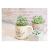 Asaka Kougyou FG 192444 Plastic Succulent Soil Container, Set of