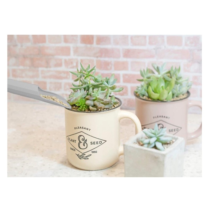 Asaka Kougyou FG 192444 Plastic Succulent Soil Container, Set of