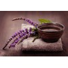 RAISE ME UP: Seeds Sage (Salvia Officinalis) Non GMO Heirloom
