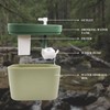 Reptile Water Bowl with Filtration System, Lizard Drinking Fountain, Bearded