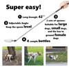 Dog Urine Sample Catcher，Telescopic Dog Pee Sample Collector，Pet Urine Stick