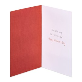 American Greetings Valentines Day Card for Husband, Wife, Boyfriend, Girlfriend or Significant Other (Significant Otter)