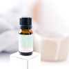 ECO. Modern Essentials Little Sniffles Essential Oil Blend, Rollerball 10ml