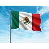 OEDIM Mexico Flag | 150 x 85 cm | Reinforced