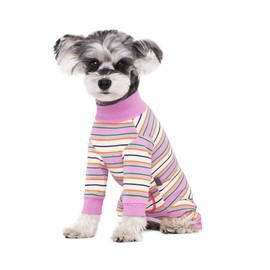 Dog Striped Recovery Suit, Puppy After Surgery Onesie for Female Male Dogs, Dogs Cats Long Sleeve Pajamas Bodysuit, Surgery Abdominal Wound Bandages Clothes, Dog Pant for Shedding Skin Disease