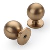 9BUILD 10 Pack Champagne Bronze Cabinet Knobs Single Hole Zinc