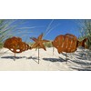 LB H&F Set of 3 Garden Stakes, Maritime Decorative Garden