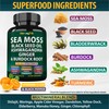 Sea Moss Black Seed Oil Ashwagandha Ginger, Organic Sea Moss