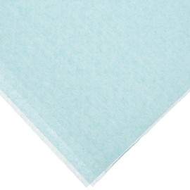 TIDI Patient Chainless Bibs with Ties, Blue, 18" x 25" (Pack of 250) -Tissue/Poly Shell Embossed Dental Bib - Dental Consumables (917673)