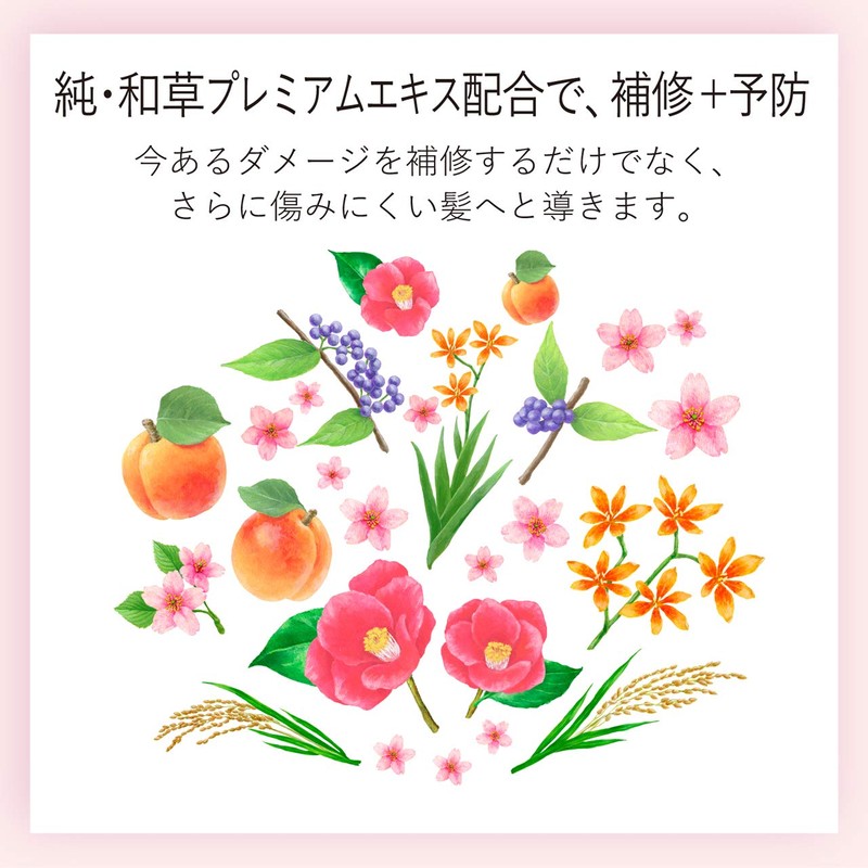 Ichikai Fluffy Smooth Care CD Refill, 2 Doses, Treatment, Sakura,